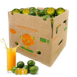 10 kg Saft-Mandarinen